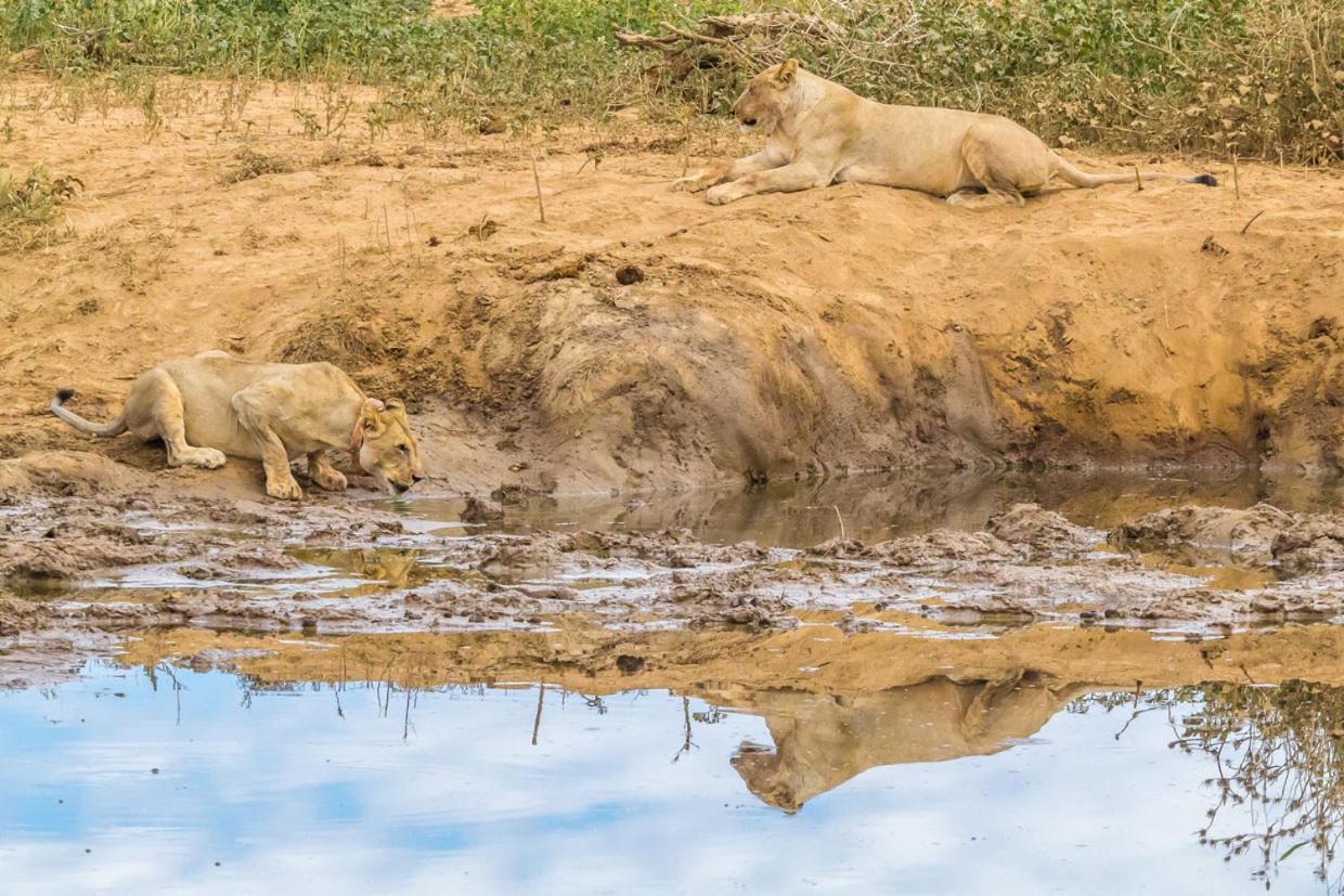 Hobatere Lodge Otjovasandu Esterno foto