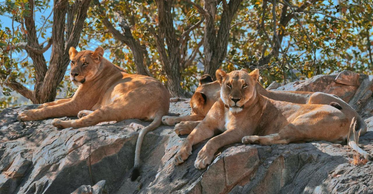 Hobatere Lodge Otjovasandu Esterno foto